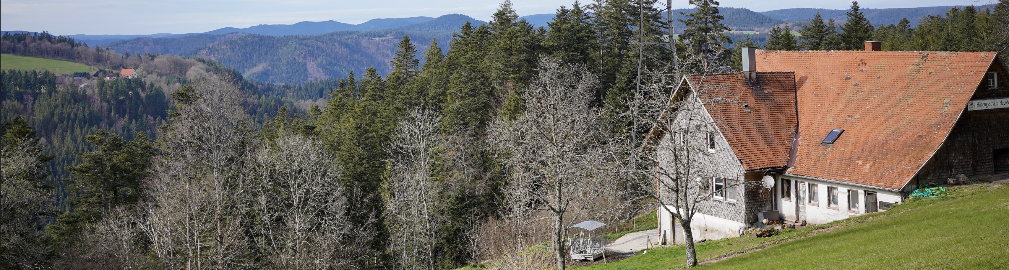 Blick von Heuwiese zum Liefersberg